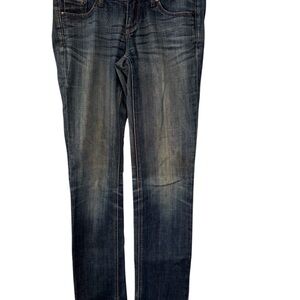 Express Dark Wash Skinny Jeans